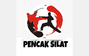 Cours de Pencak Silat